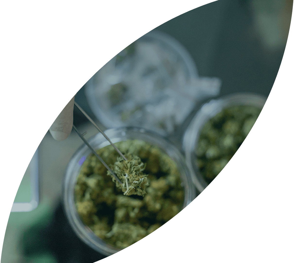 Home page banner