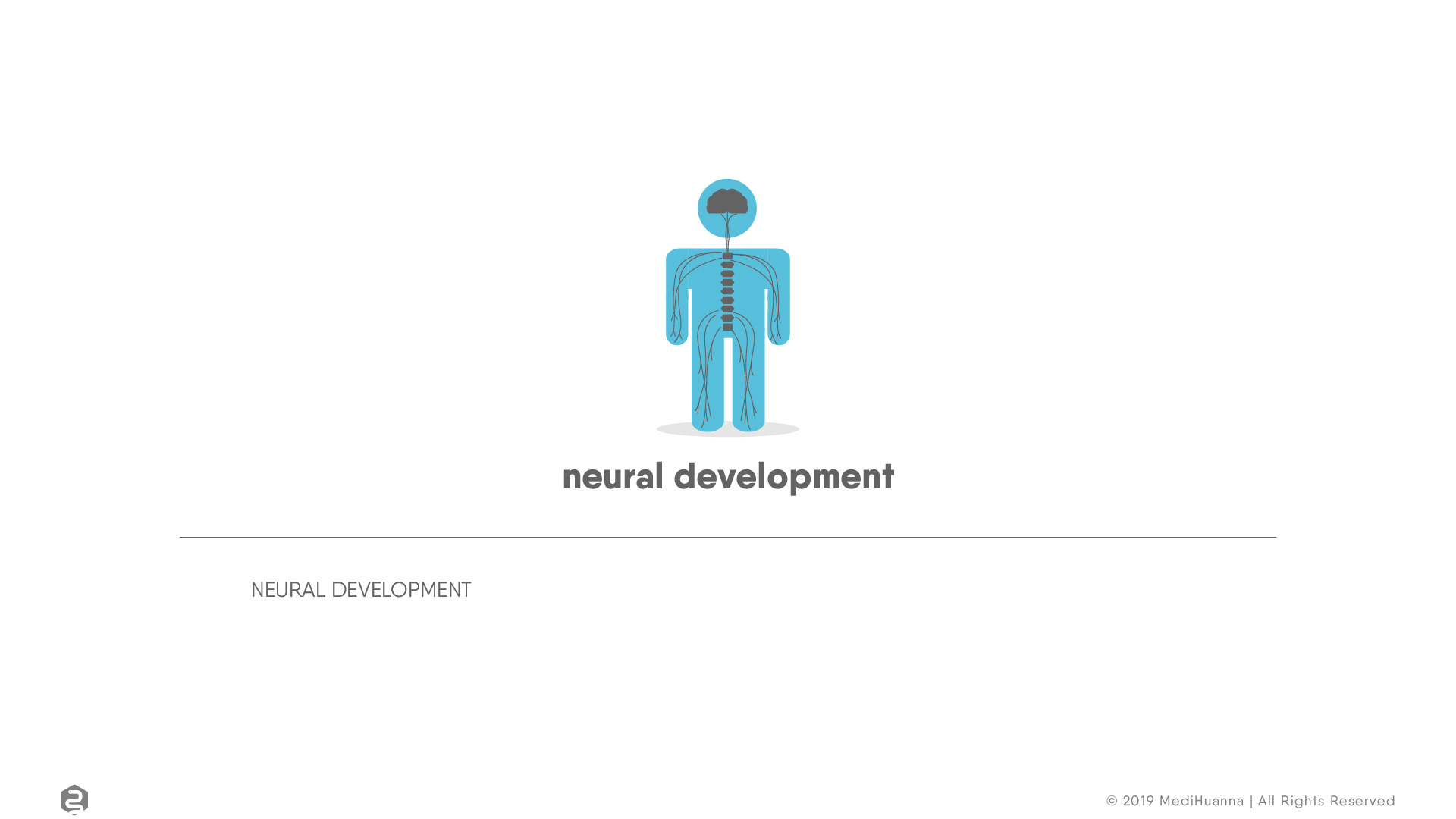 Neural development
