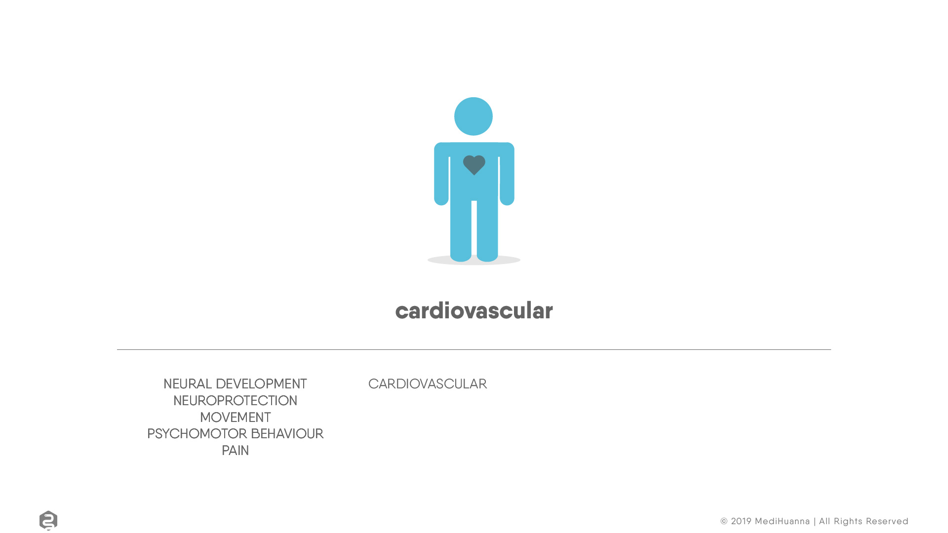 Neural development, cardioviscular
