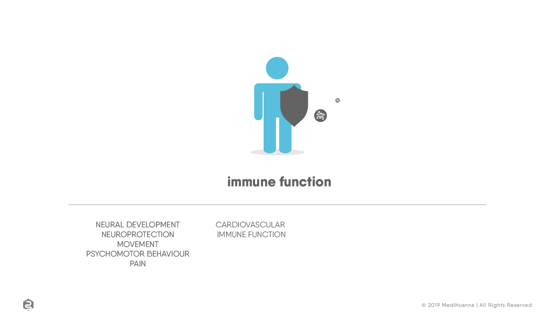 Neural development, Immune function
