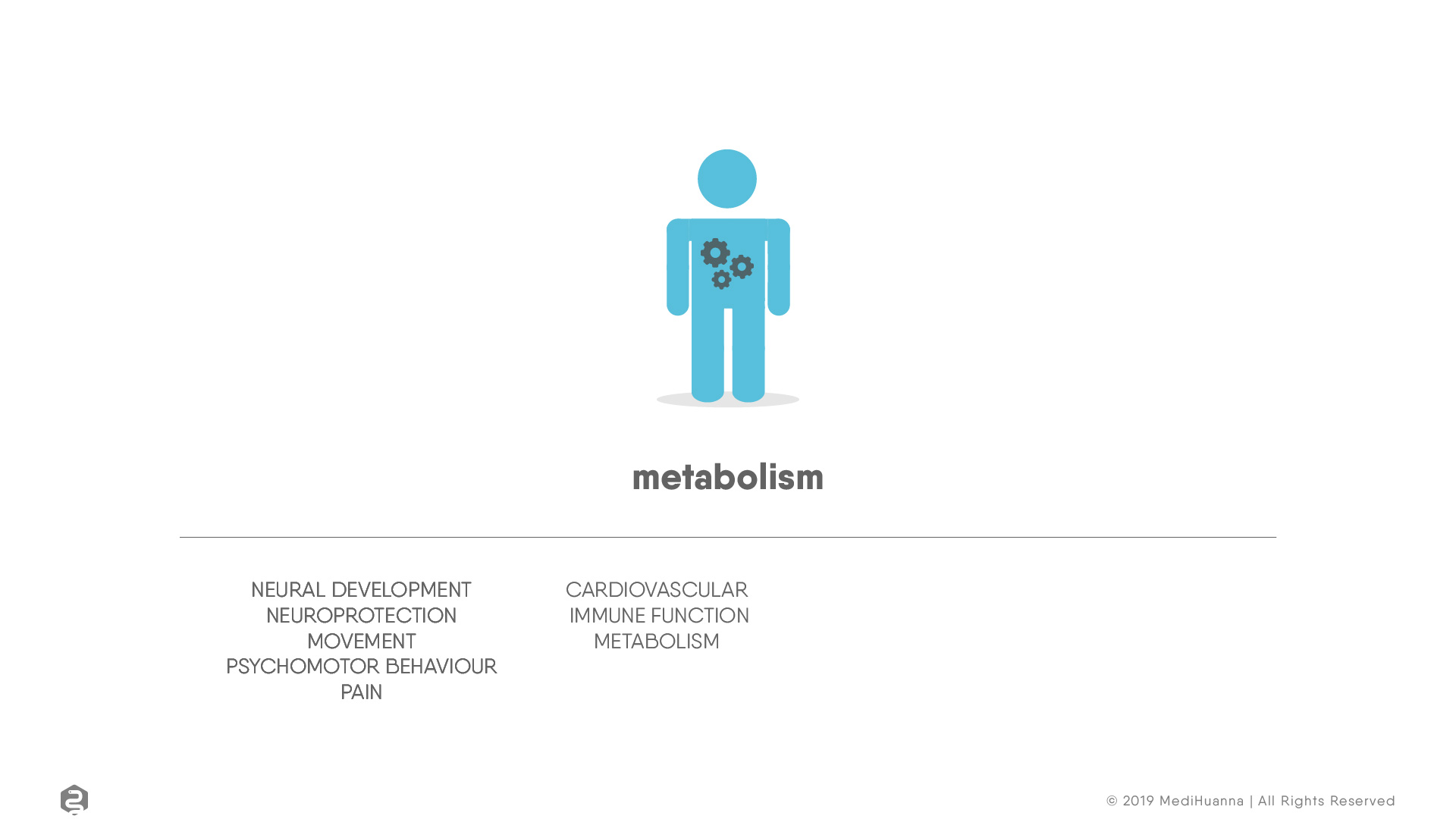Neural development, Metabolism