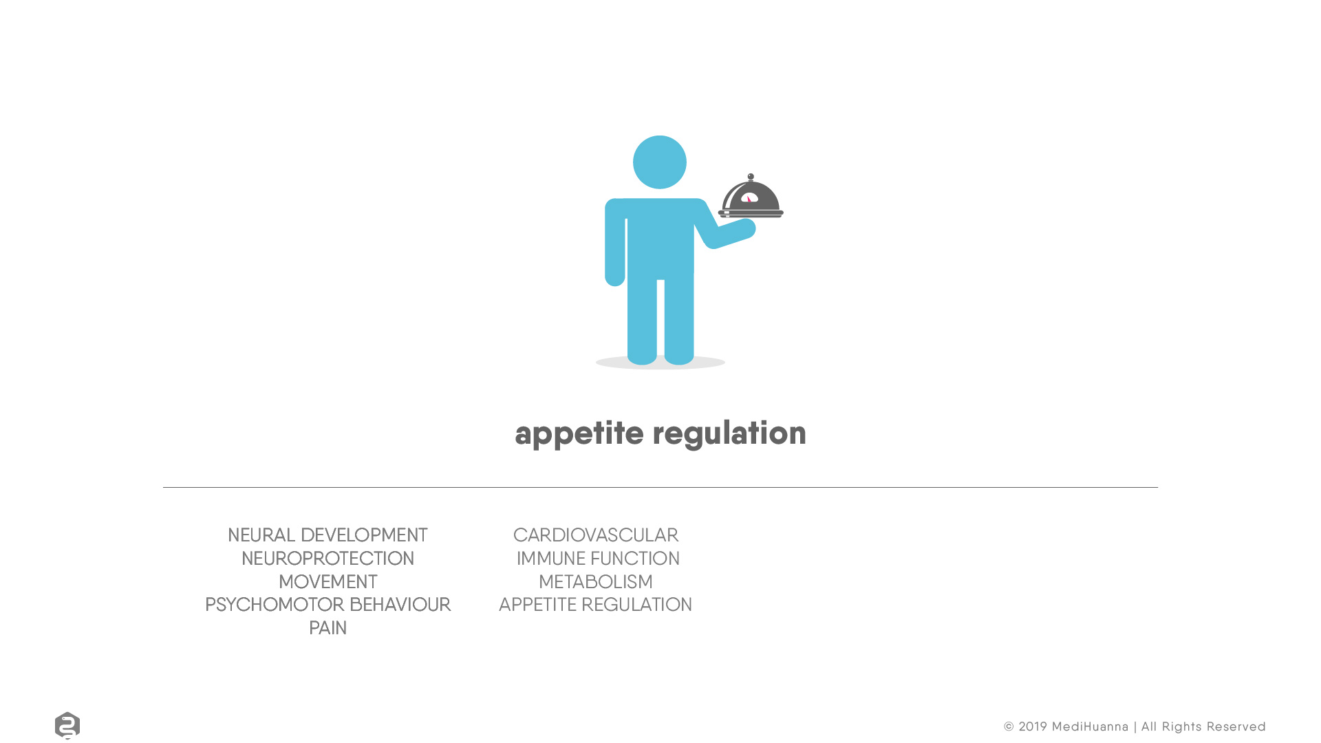 Neural development, appetite regulation