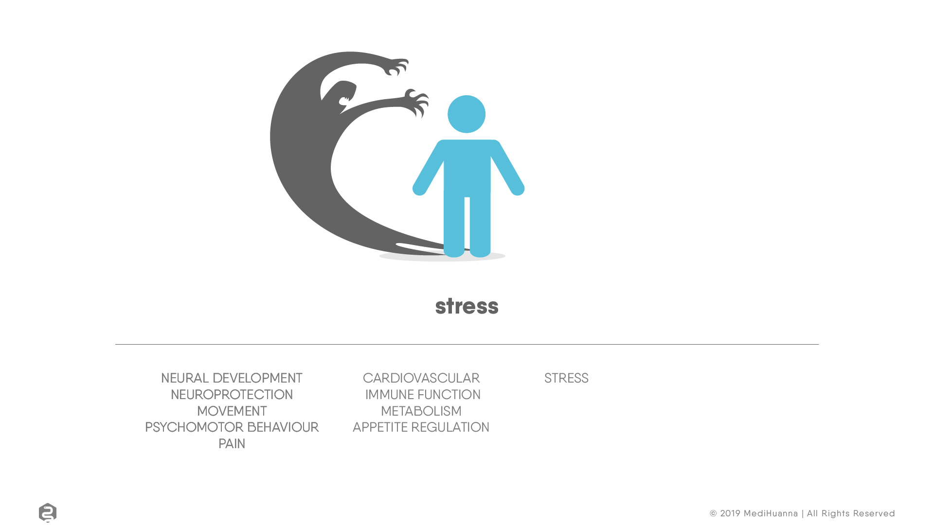 Neural development, stress