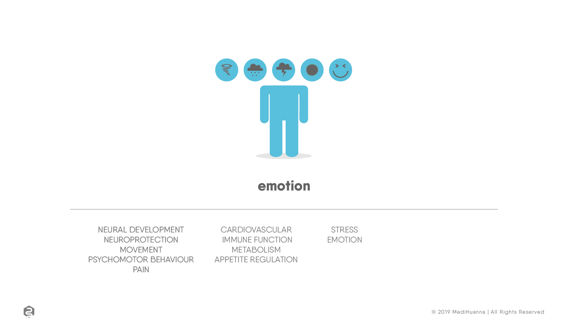 Neural development,emotion