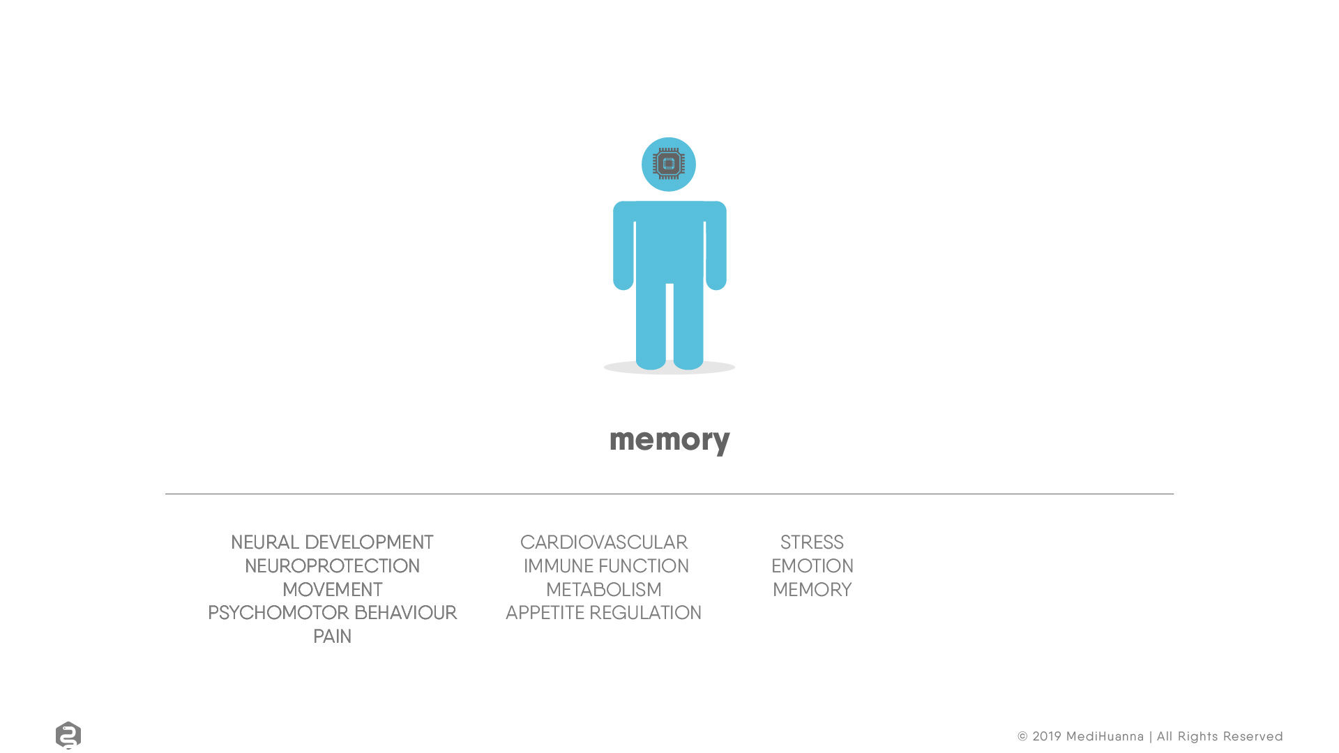 Neural development, memory