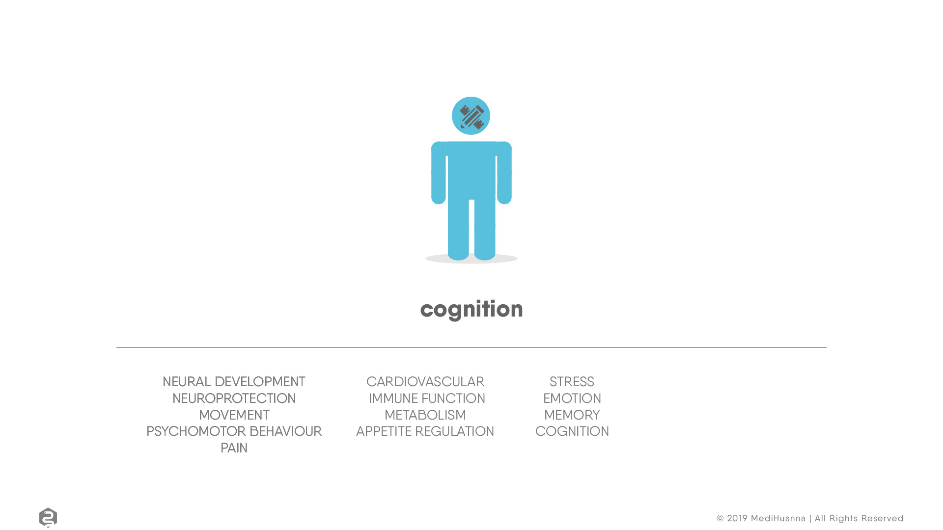 Neural development, cognition
