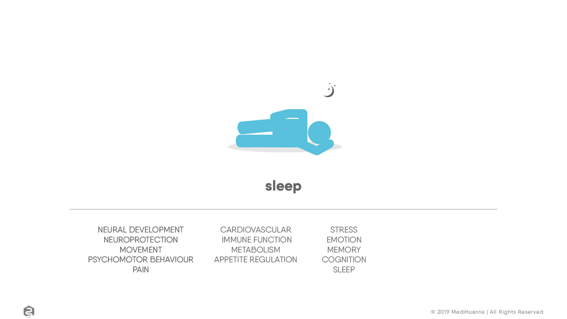 Neural development, sleep