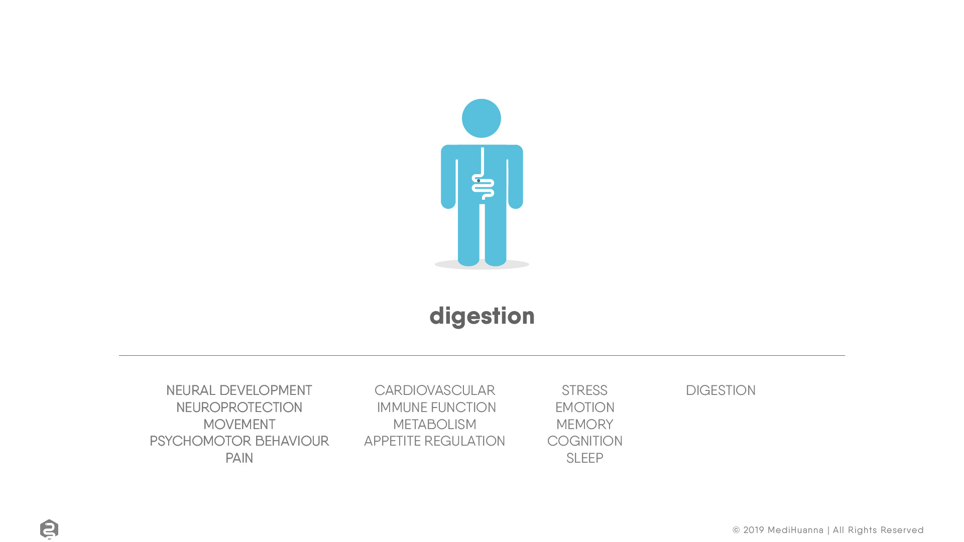 Neural development, digestion
