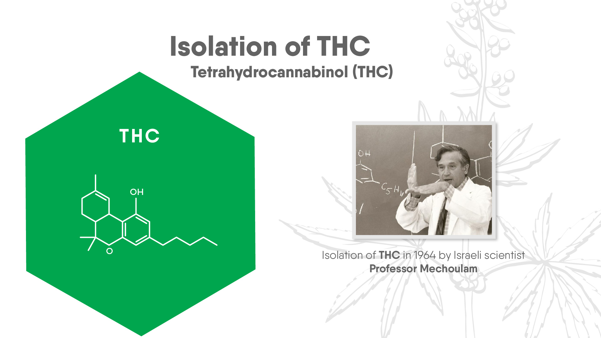 Isolation of THC, Tetrahydrocannabinol