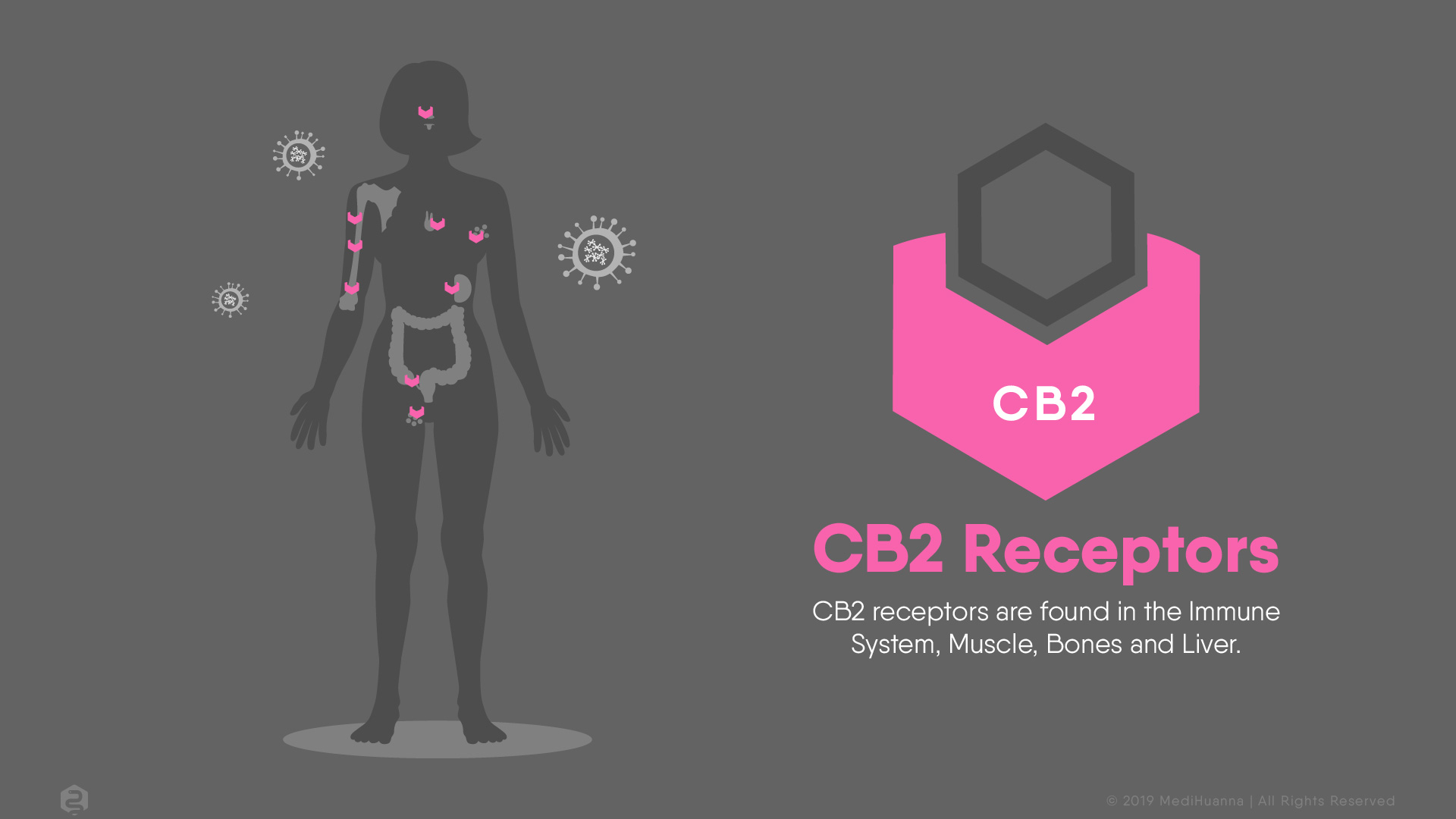 CB2 receptors